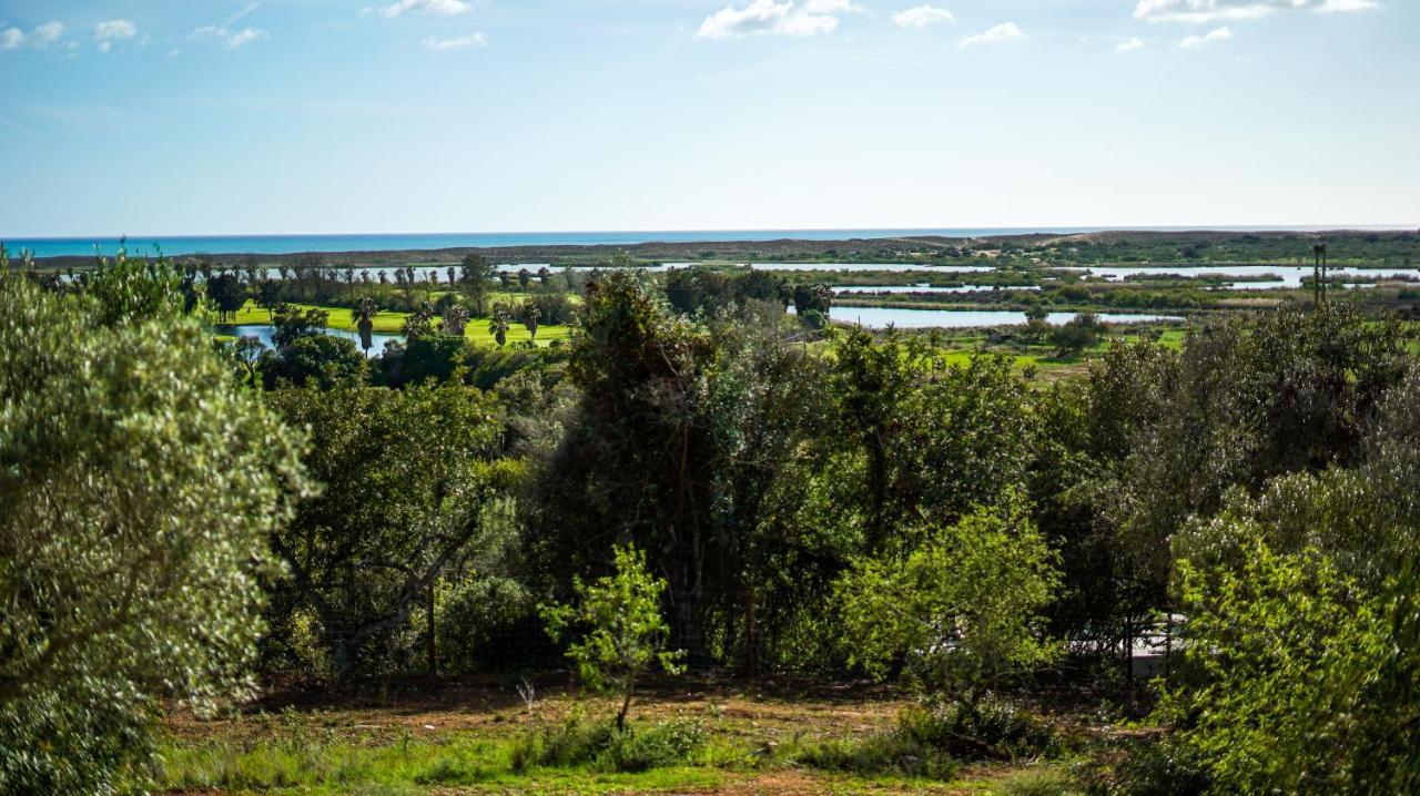 Quinta Da Felicidade, Casa Estrela Guia  Luaran gambar